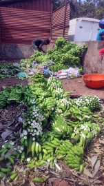 Mapusa fruit dealer caught using banned ripening agent