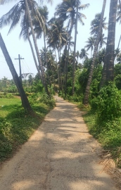 Saligao’s forgotten iconic road crumbles amid official apathy