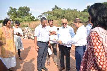 MMC to make land available for urban forestry scheme