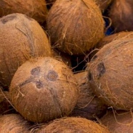 Multiple reasons for spike in coconut prices: Official