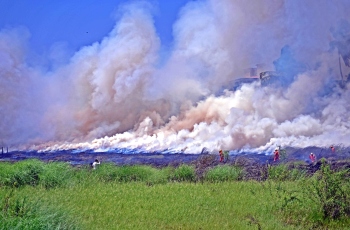 Fire exposes negligence by govt depts, panchayat