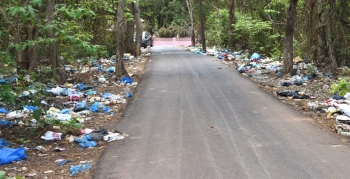 Locals question inaction as waste piles up in Curtorim locality