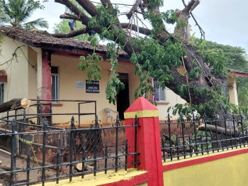 Tree falls on Agonda police outpost, panchayat steps in
