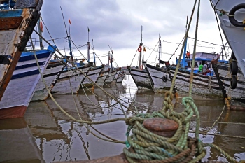 Amid inclement weather, trawlers wind up operations at Malim Jetty