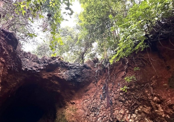 Calls to protect Kesarval Spring