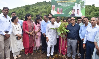 From dump to dense forest: Sonsodo’s green revival