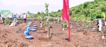 Urban forest takes root at legacy dump, but Margao's waste management plan still up in the air