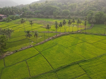 Goa Tourism launches ‘Glow On Arrival’ campaign