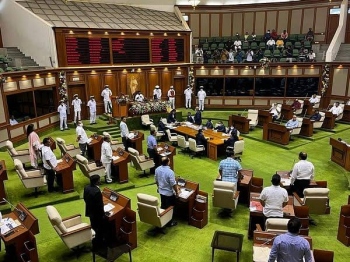 Constitutional role of the MLA