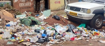 Mapusa’s garbage crisis worsens, public indifference adds to woes