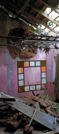 2 houses damaged as tree falls in Agassaim