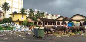 Garbage pile-up at SGPDA market sparks dispute between authorities