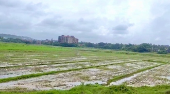 Salpem lake farmers set to bring 3L sqm area under cultivation