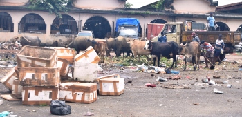 MMC pushes for waste disposal system at SGPDA retail market