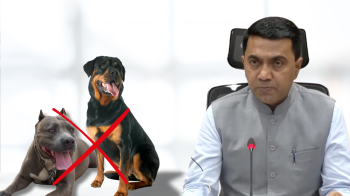 Goa Cabinet clears Animal Breeding Bill 2025; proposes ban on pitbulls, rottweilers