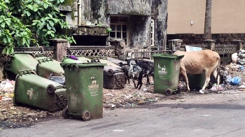 Vasco civic body eyes no-bin model to get rid of garbage