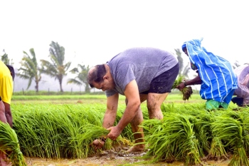 Khaunte joins farmers in paddy fields at Socorro