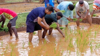 Speaker joins paddy planting to push farming revival in Canacona