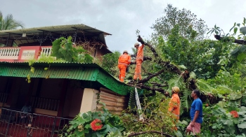 Three houses damaged in tree falls as rains lash Bicholim