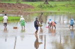Bhatkal boys are Benaulim farmhands