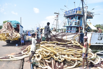 Less that 30 pc workers join Cutbona fishing operations
