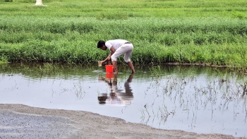 Baga STP under scanner after pollution complaints