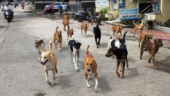 Turning our back on the voiceless