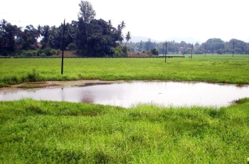 Salpem lake pollution: HC closes PIL with strong court directives