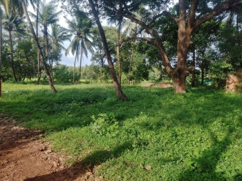 So, who's selling Goa's land?