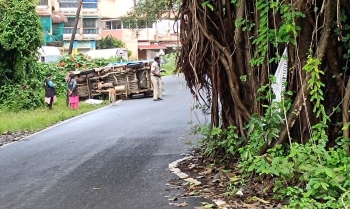 Tree turns death trap on Navelim“Aquem road