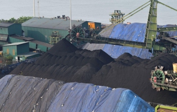 SPOTLIGHT | No increase in coal handling at port, safeguards in place, assures GSPCB