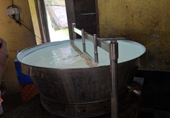 Curd manufacturing unit in Mapusa raided, shut by FDA