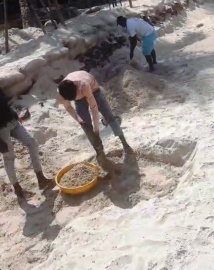 Illegal encroachment on Colva beach sparks calls for probe