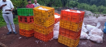 FDA seizes 1.3 tonnes of poultry meat, detains two vehicles