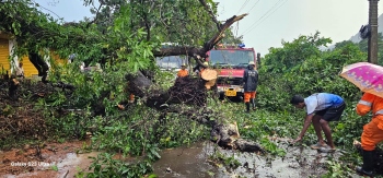 Sattari hit by strong winds, rains