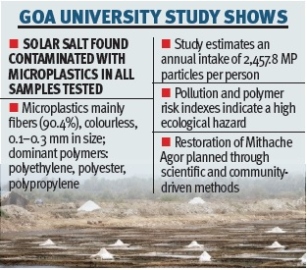 Microplastics in Goa’s salt pans raise health concerns