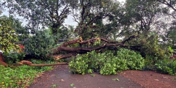 Rains cause extensive damage in Bicholim