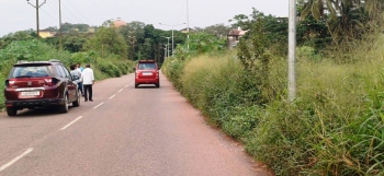 Who will clear the bushes? Key road stretch in Margao left neglected