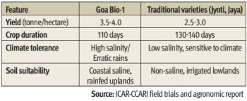 SPOTLIGHT | Climate-resilient paddy offers hope for farmers