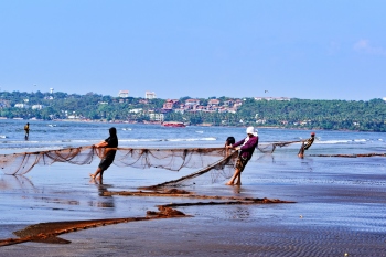Beaches are only marked as fish landing areas, not fishing zones: Fisheries dept
