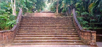 MMC cleans up 'Garden on steps' of trash, liquor bottles and grass