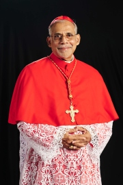 Anguished over unwarranted attacks on Christians: Cardinal