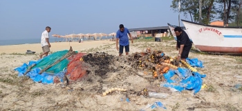 New Year fireworks trigger blaze at Betalbatim beach
