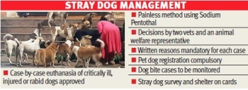 Margao ABC panel allows painless euthanasia in extreme cases for rabid, injured dogs
