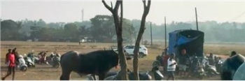 Bullfight cancelled in Seraulim after officials reach venue