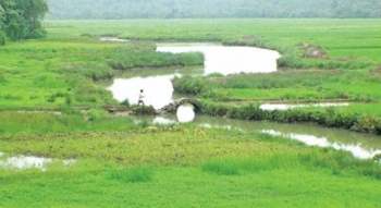 Why Goa is Goa... the unseen hands
