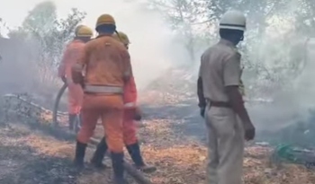Repeated dry grass fires keep Margao fire brigade on edge