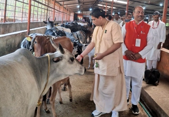 Patanjali to work on medicinal plants, biodiversity in State