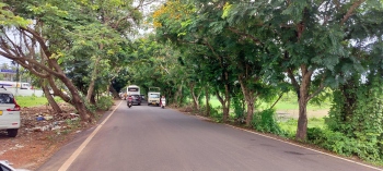 GSIDC's road widening plans put Calangute’s green heritage at risk