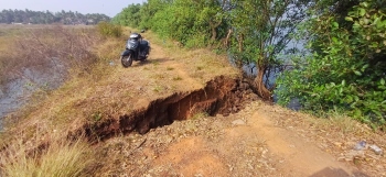 Bund breach threatens Rachol fields, farmers appeal for help